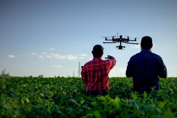 csm Application Agriculture vign cb28b9348b