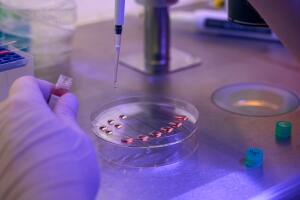 Campaign Microscopy Medical Science 4