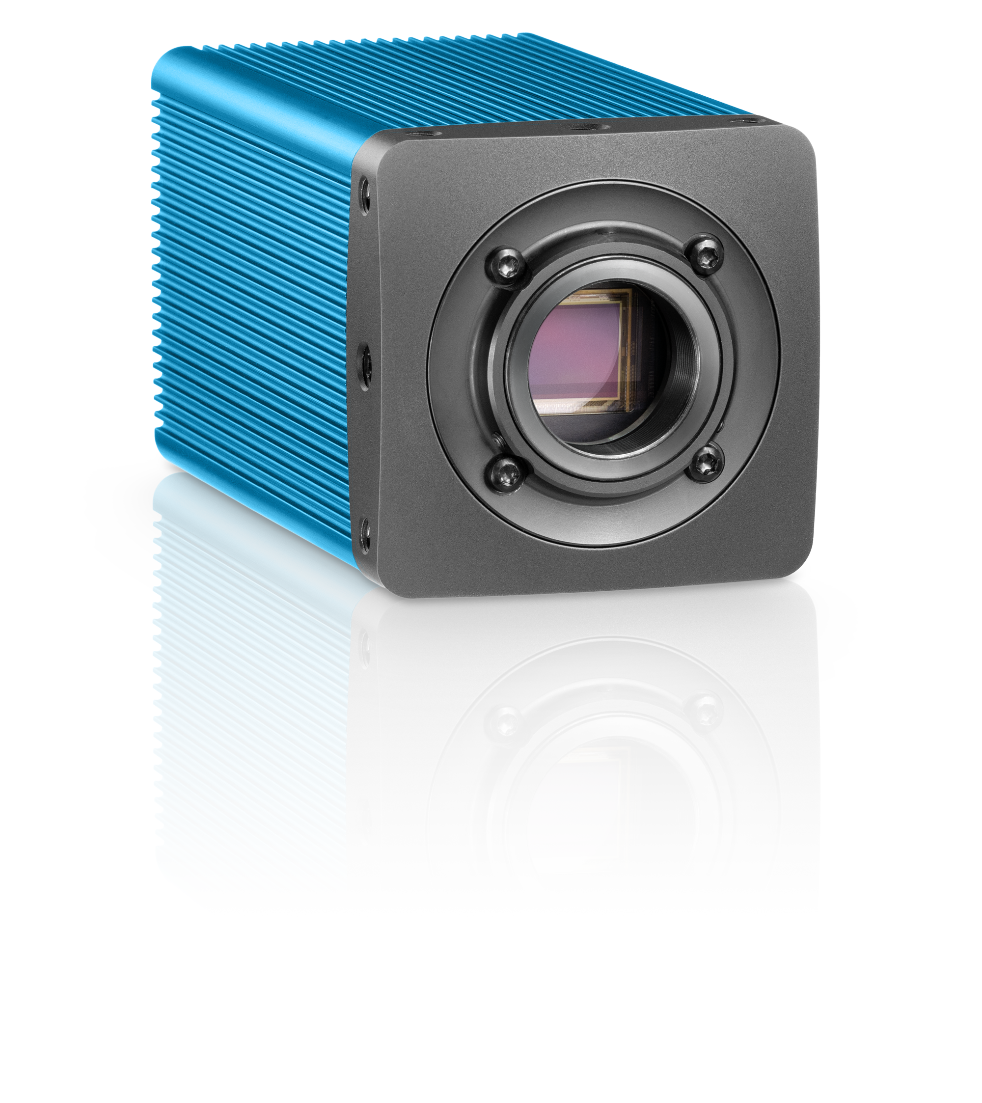 QUAD1.1SCGE-CM8