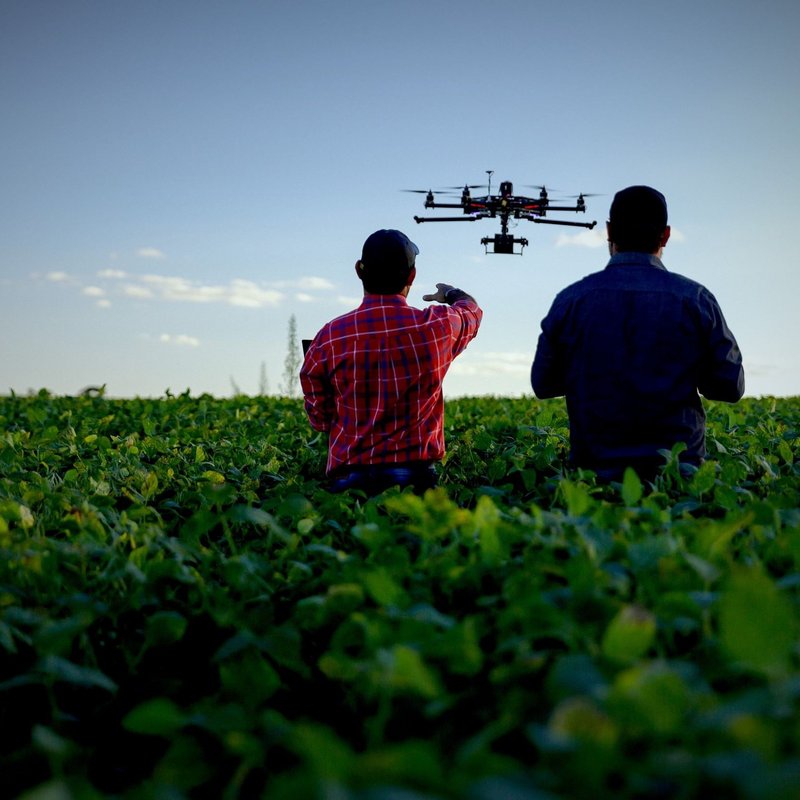 Drone in agriculture applications