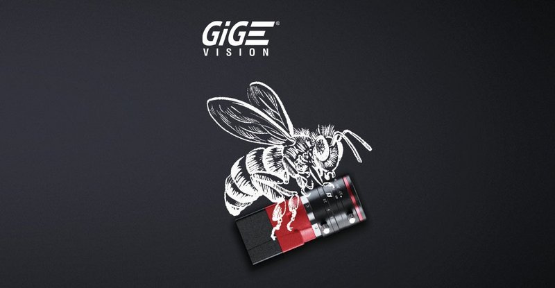 Bee with Alvium G1 GigE Industrial Camera
