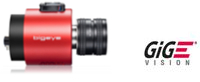 Overview Bigeye Bigeye CCD GigE camera overview